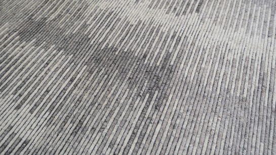 AM12073